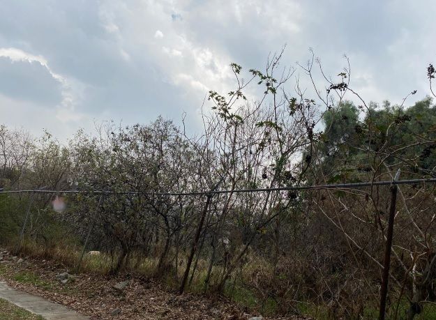 Lote en venta · Huixquilucan, Estado de México