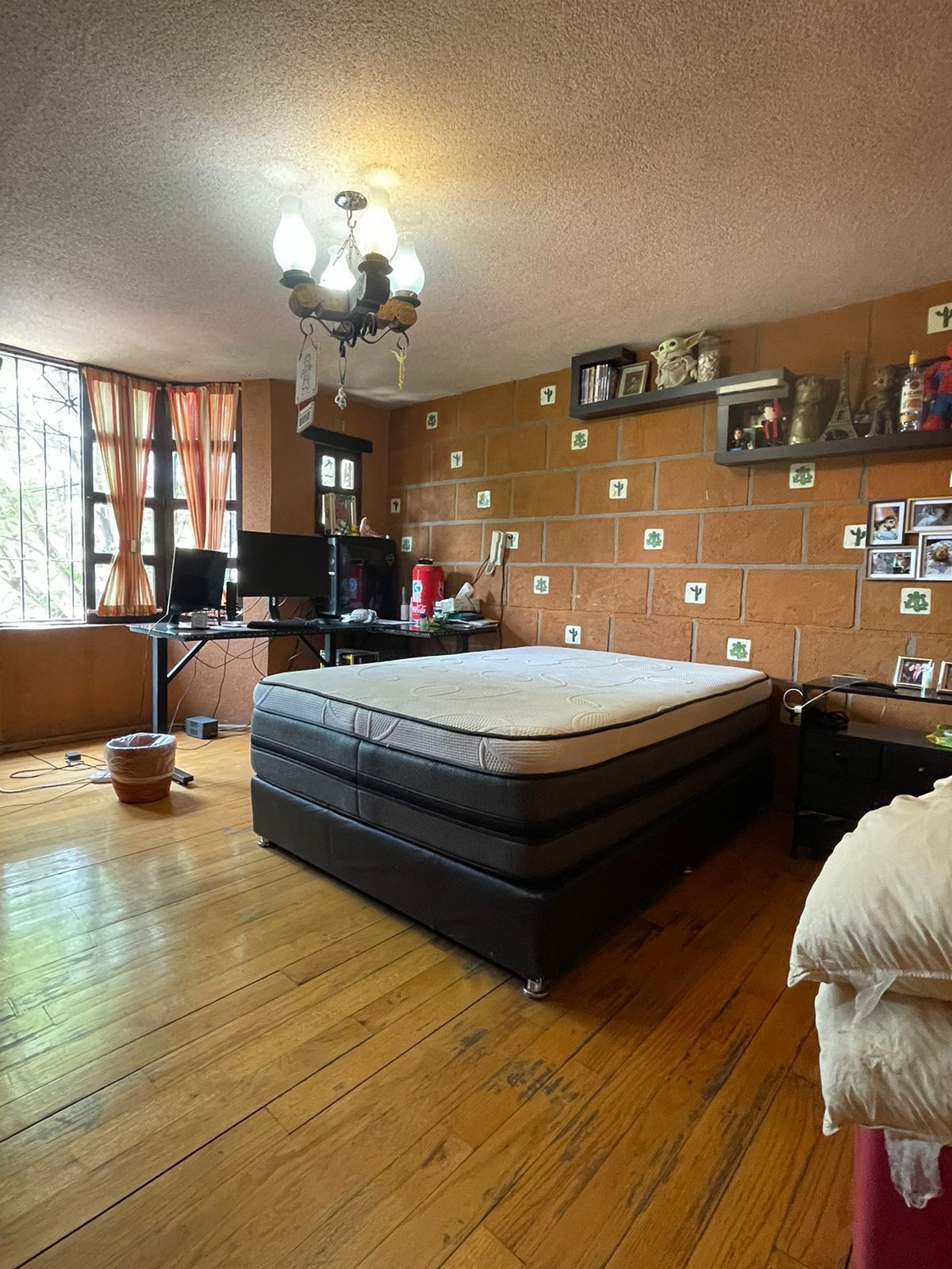 Foto 10