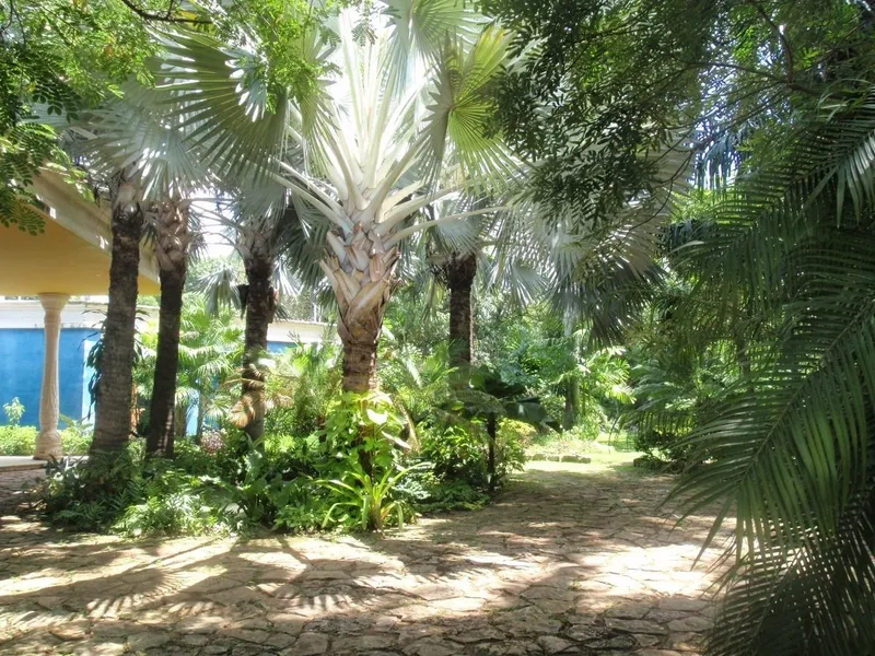 Foto 17