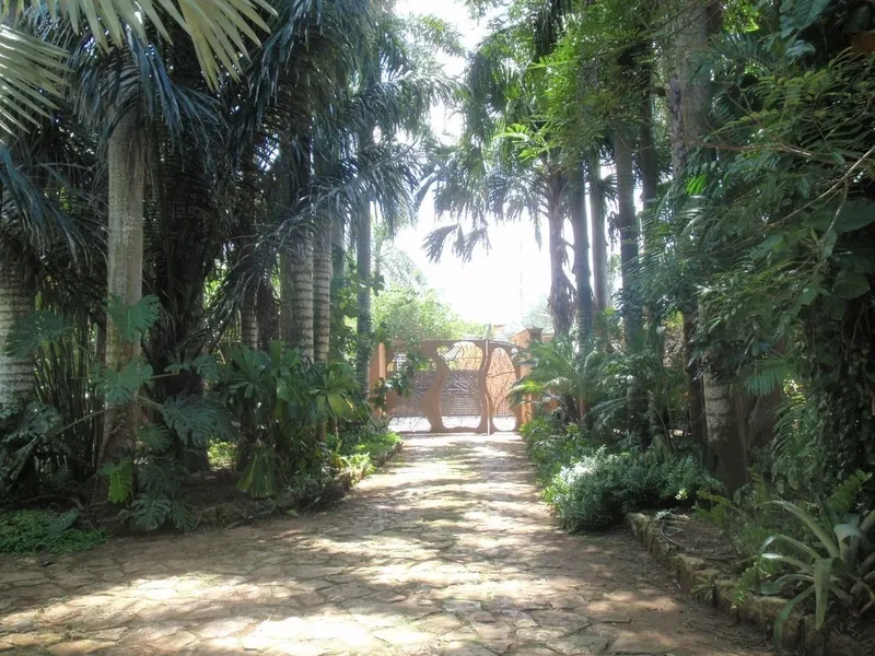 Foto 16