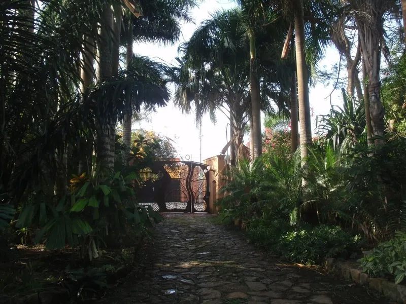 Foto 8