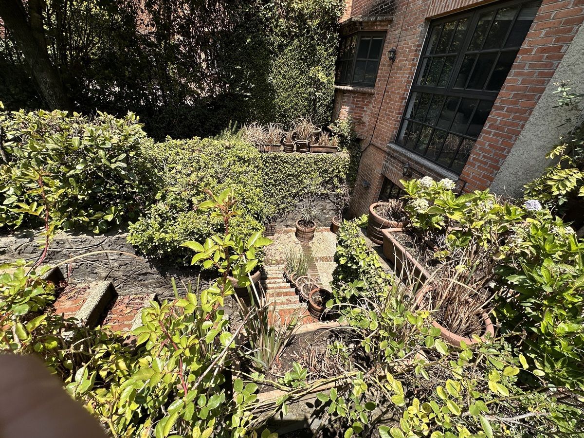 Foto 12