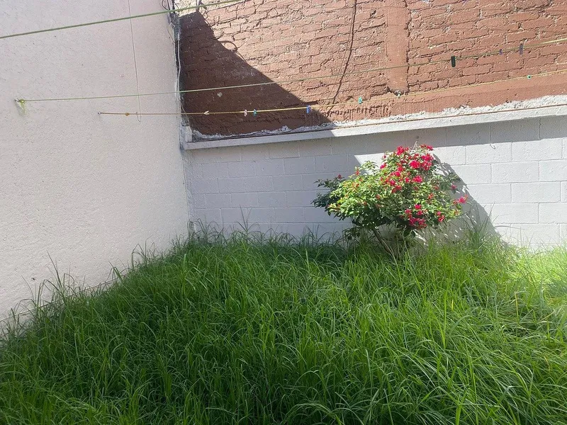 Foto 19
