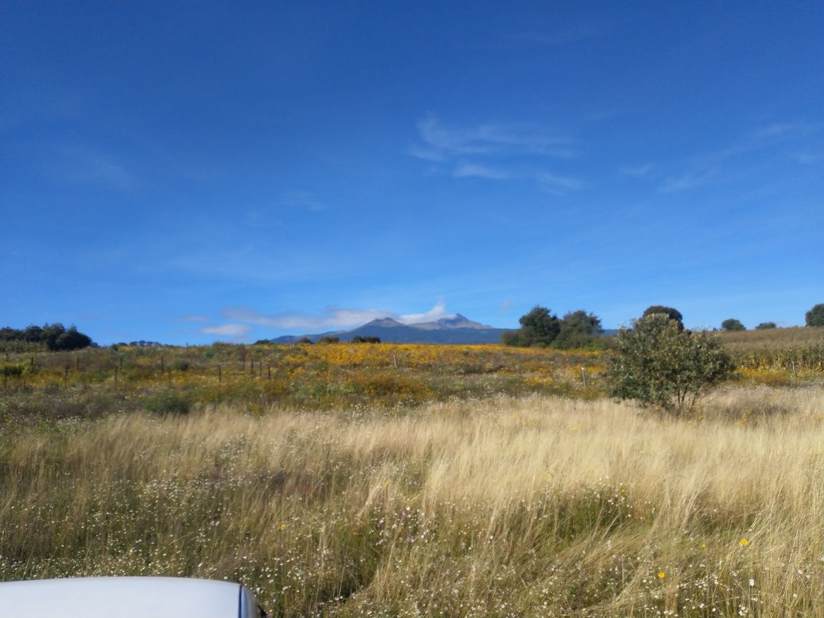 Lote en venta · San Miguel Zacango, Toluca, Estado de México