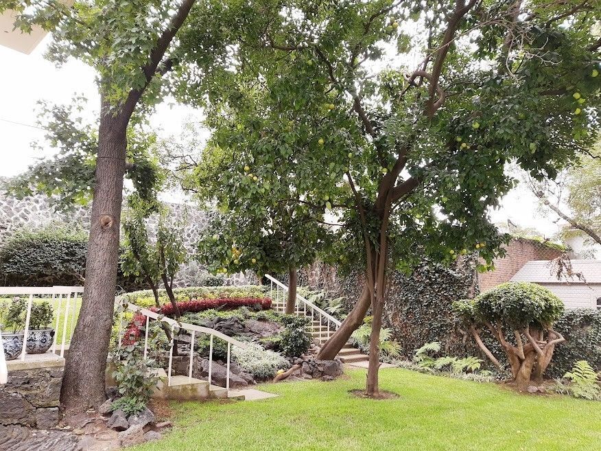 Casa en venta · Parque del Pedregal, Tlalpan, Ciudad de México