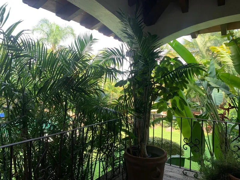 Foto 41