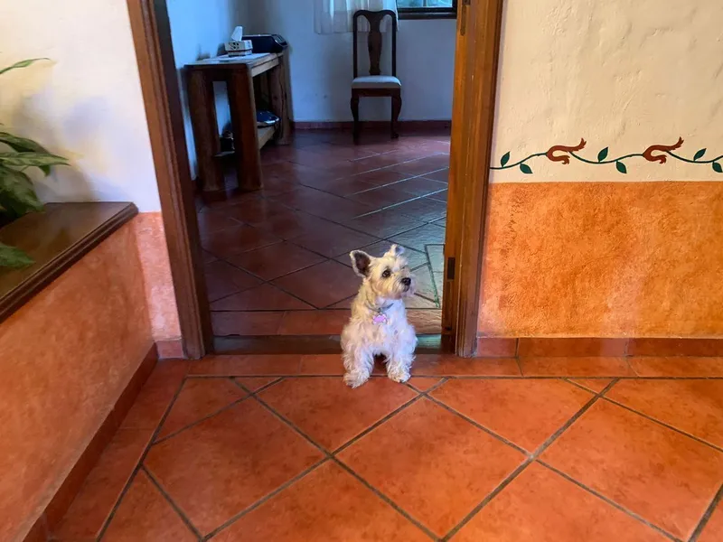 Foto 17