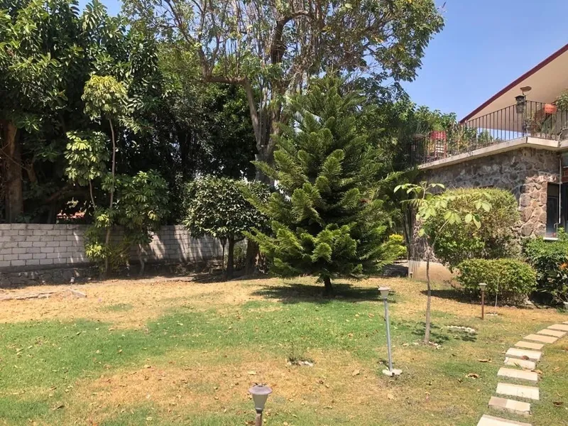 Foto 7