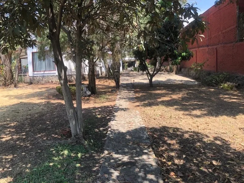 Foto 14