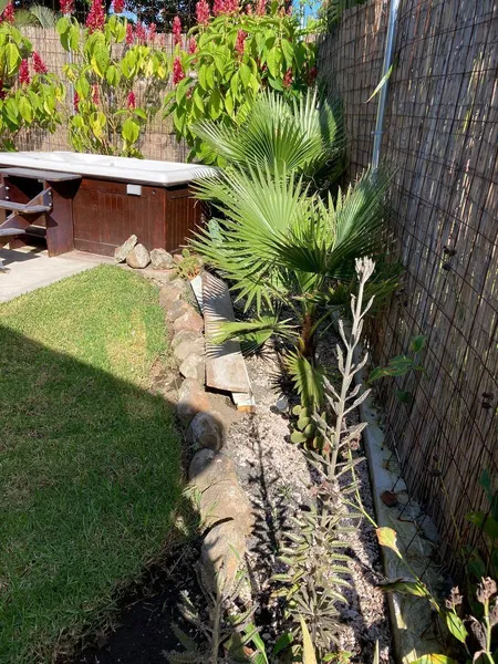 Foto 15