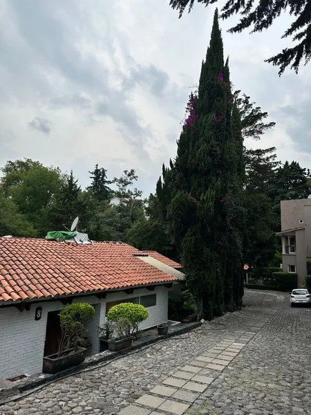 Foto 6