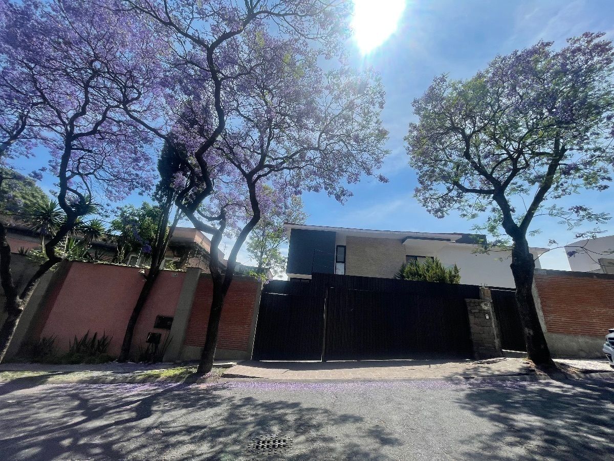 Foto 43
