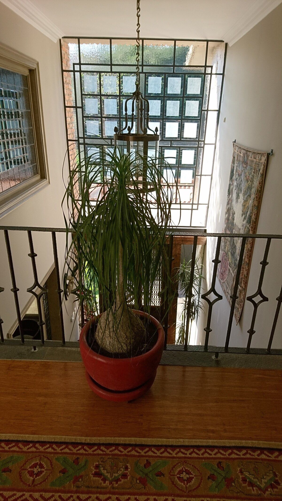 Foto 7