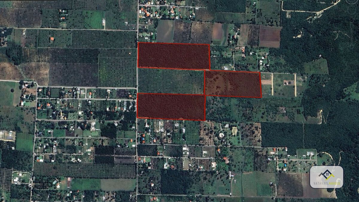 Lote en venta · Montemorelos Centro, Montemorelos, Nuevo León