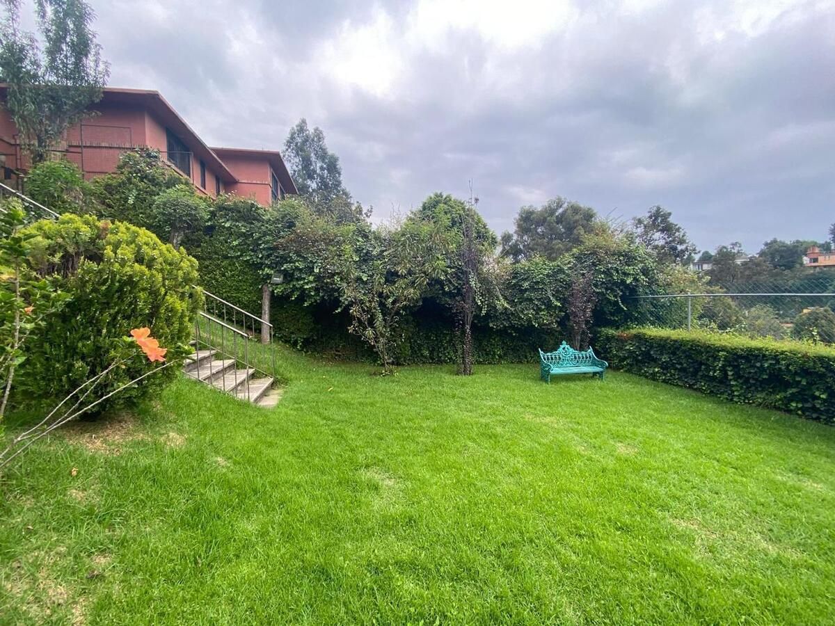 Foto 7