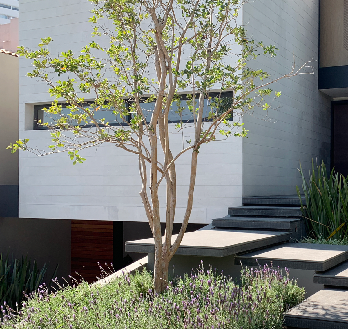 Condominio en venta · San Mateo Tlaltenango, Cuajimalpa de Morelos, Ciudad de México