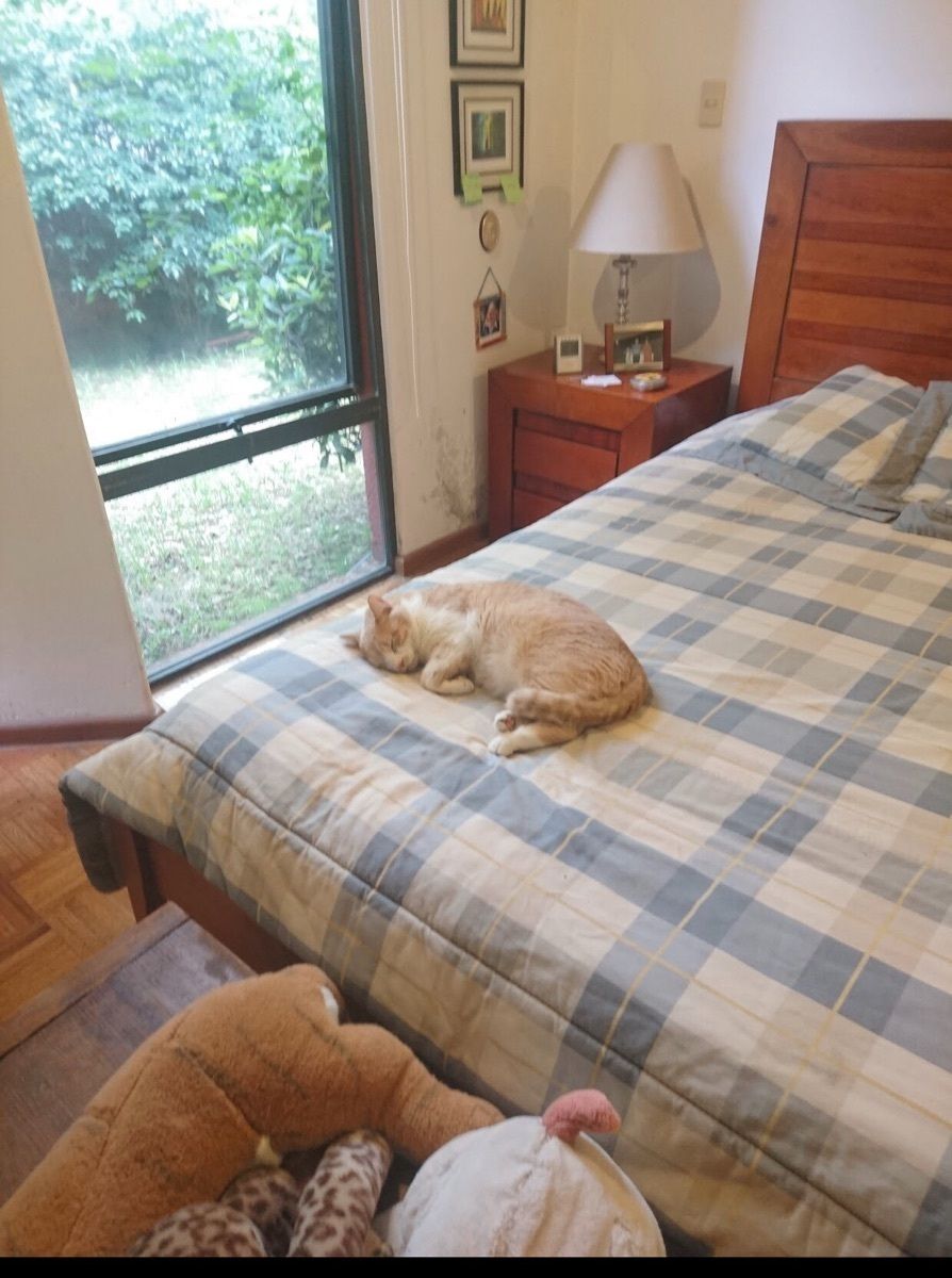 Foto 20