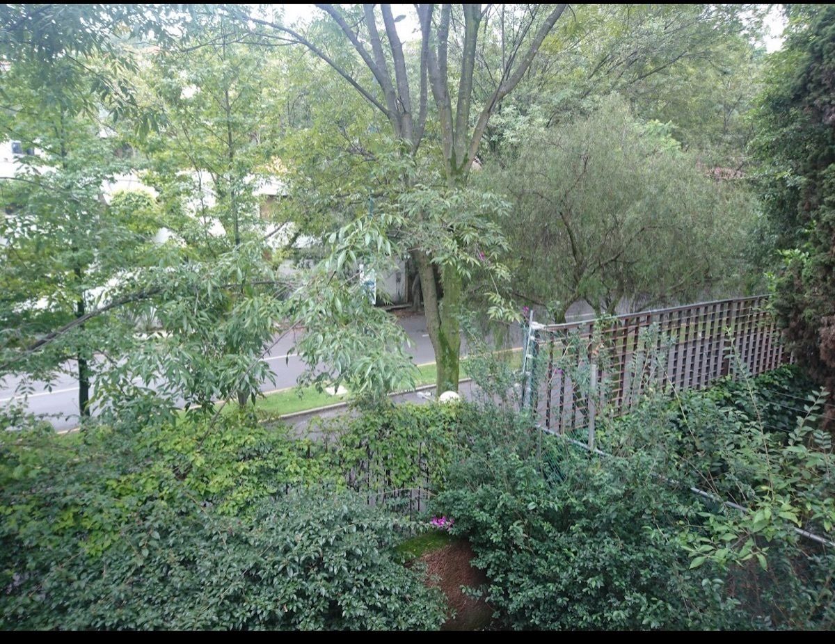 Foto 33