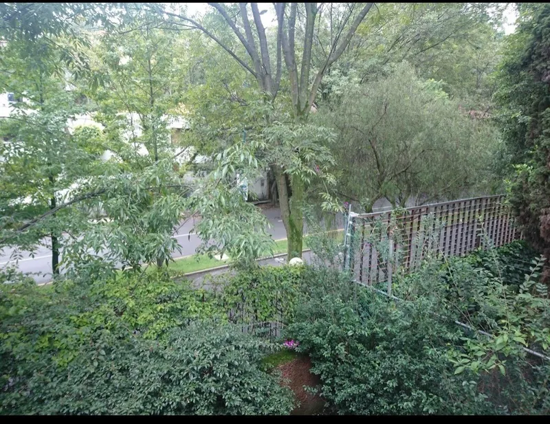 Foto 34
