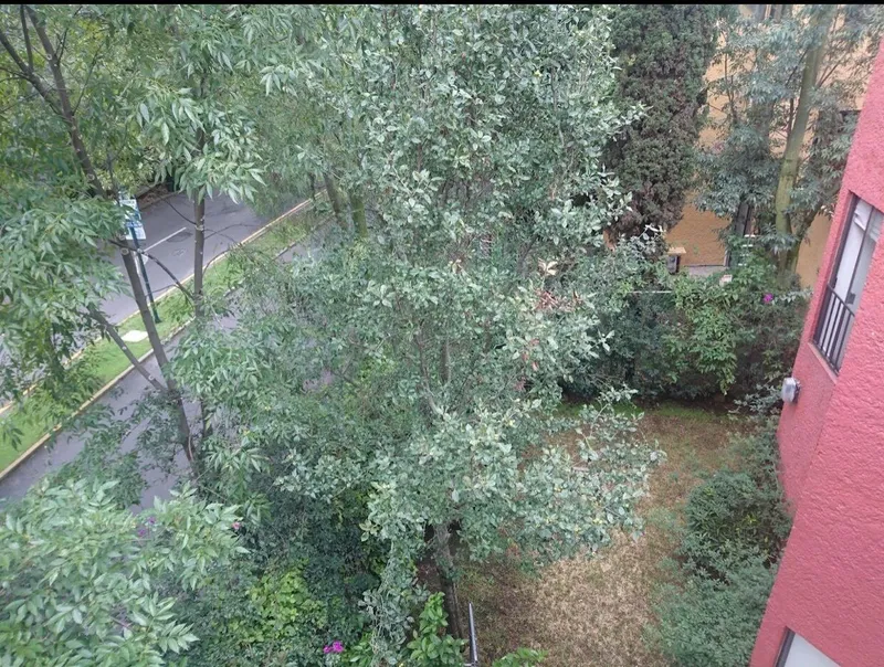 Foto 32