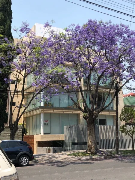 Departamento en venta · Polanco III Sección, Polanco, Miguel Hidalgo, Ciudad de México