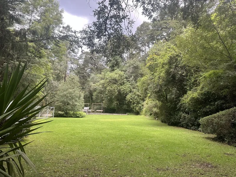 Foto 17