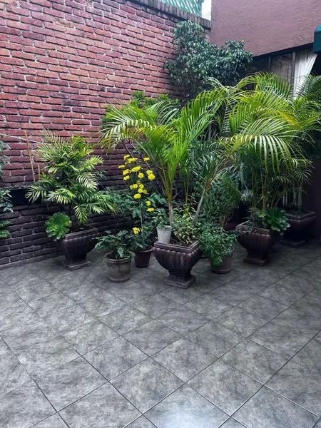 Foto 34