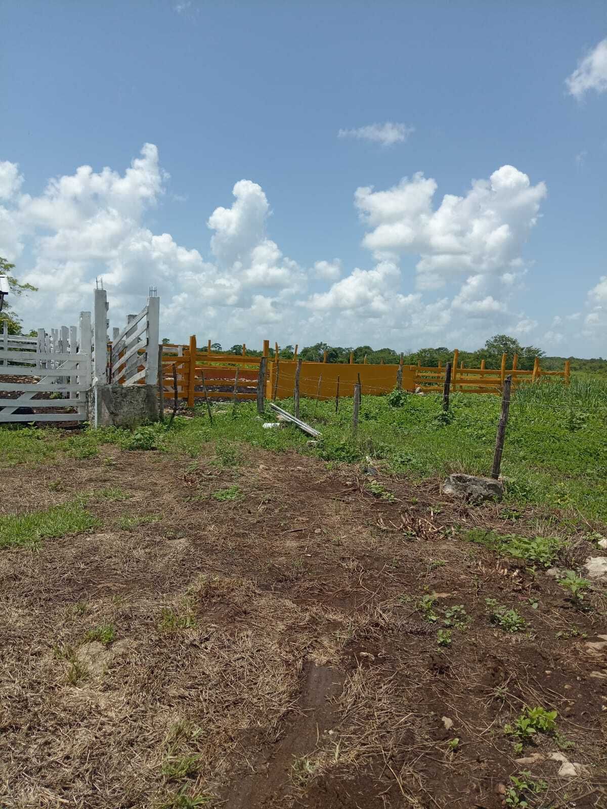 Casa en venta · Buctzotz, Buctzotz, Yucatán