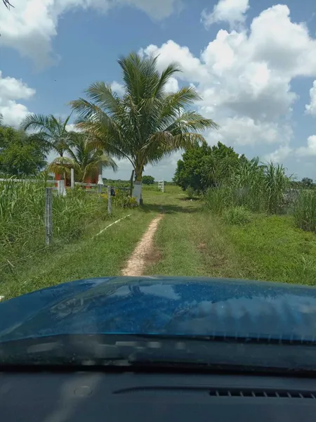 Casa en venta · Buctzotz, Buctzotz, Yucatán
