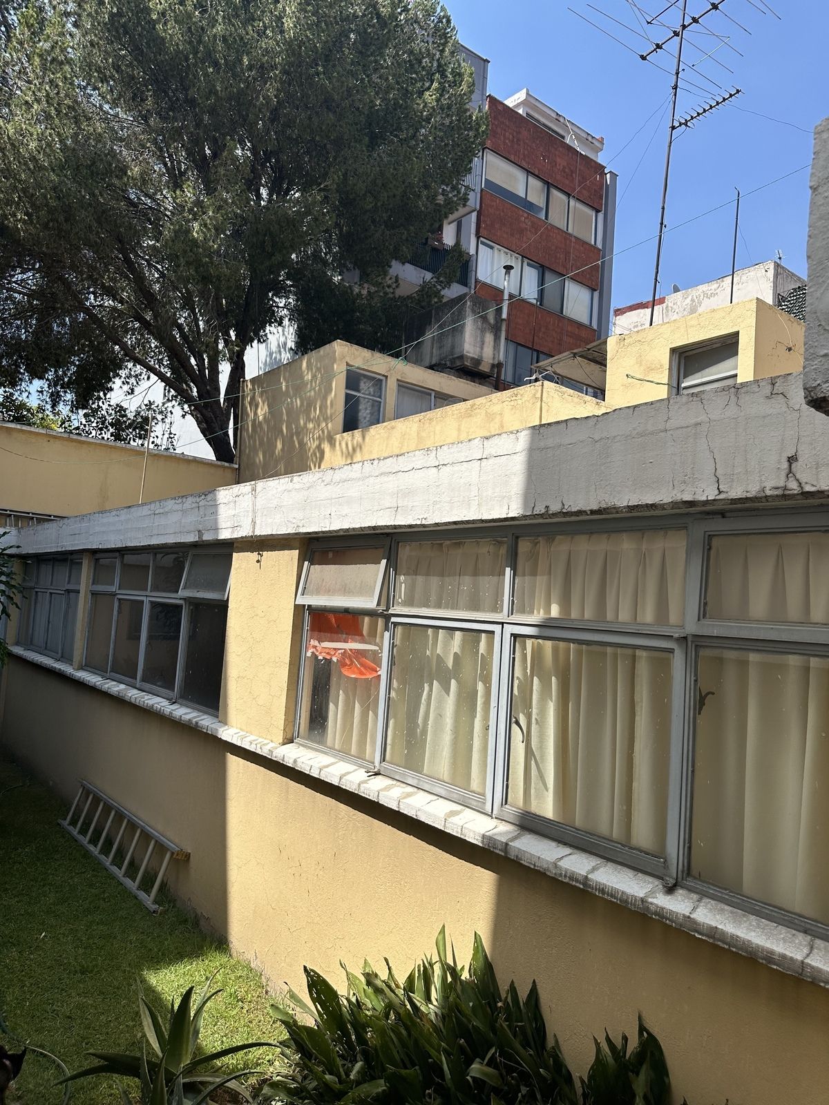 Foto 33