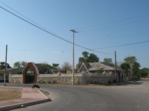 Foto 11