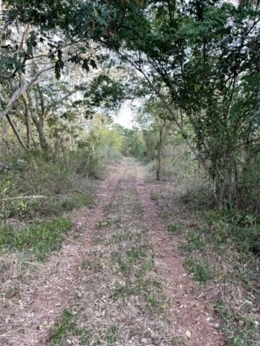 Foto 8