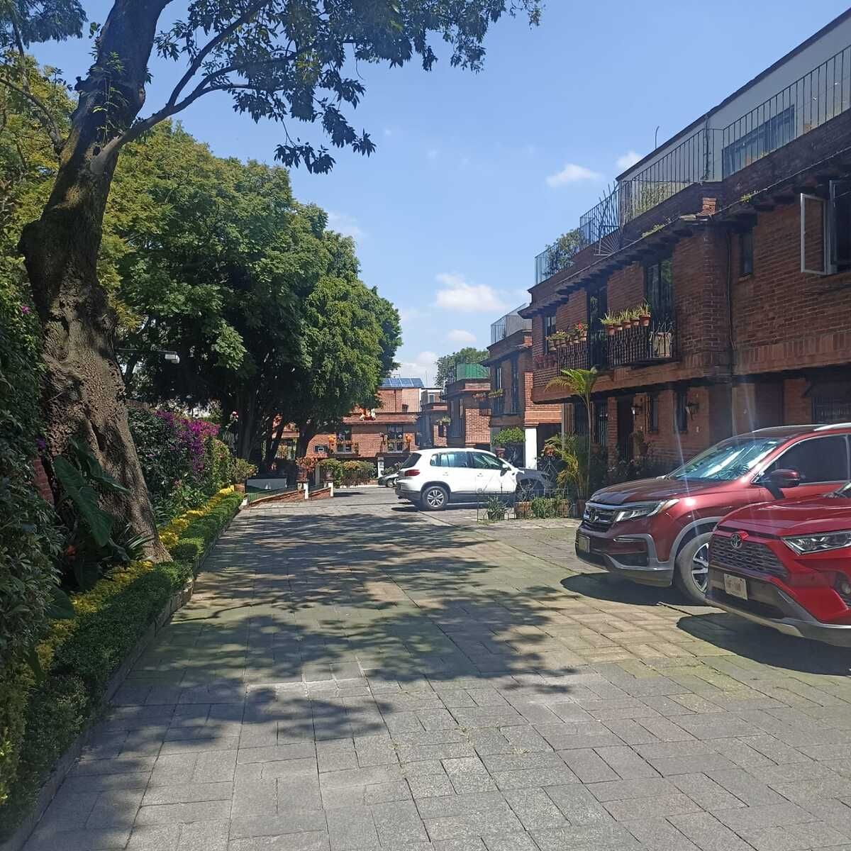 Foto 10