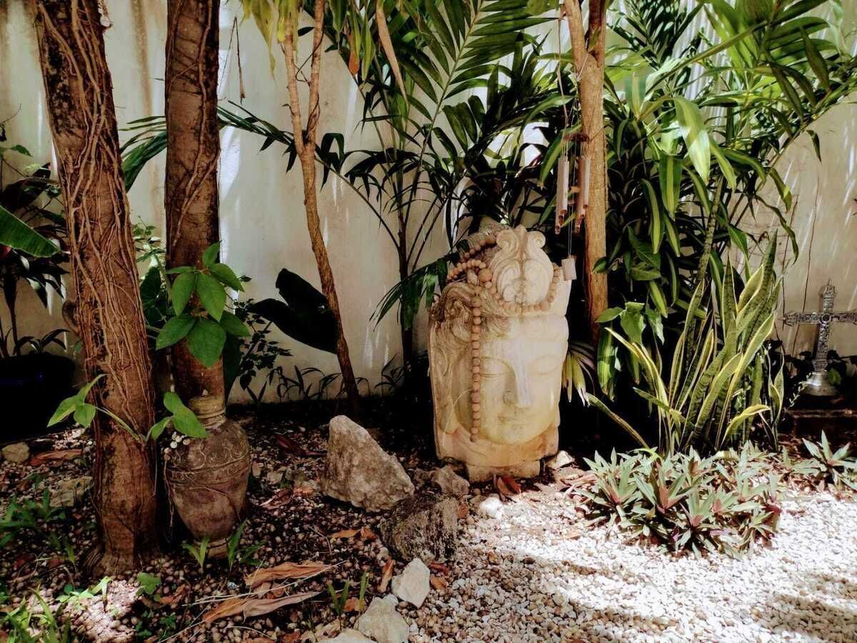 Foto 6