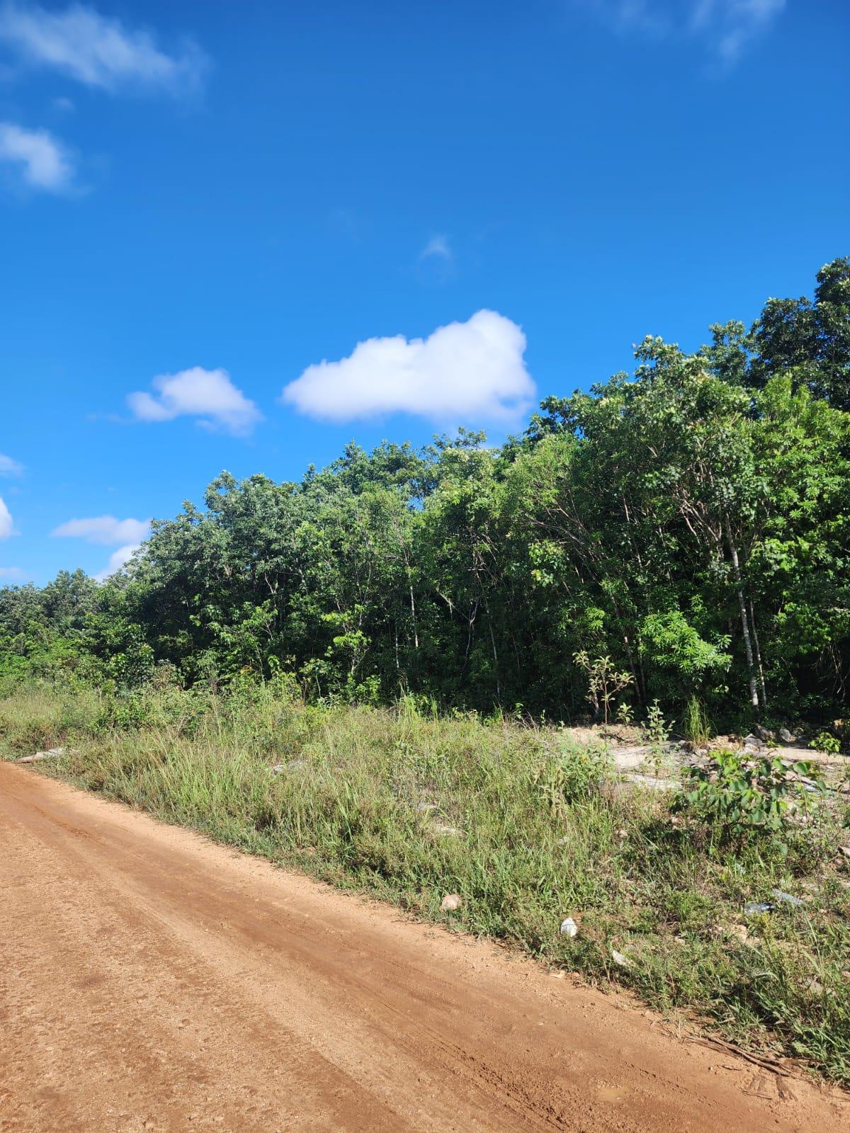 Lote en venta · Cancún, Benito Juárez, Quintana Roo
