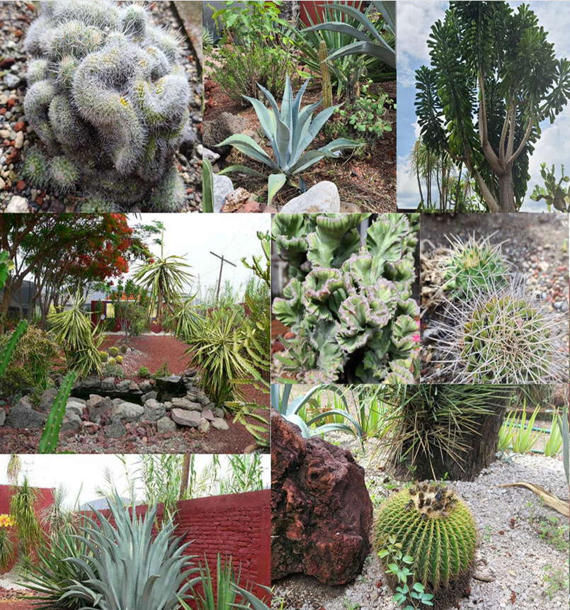 Foto 7