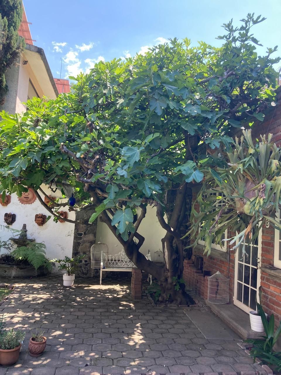 Foto 4
