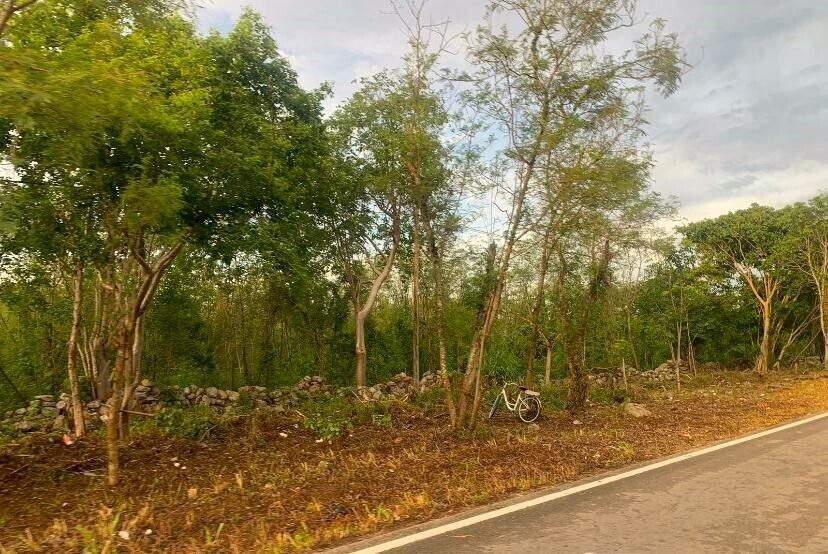 Lote en venta · Dzemul, Dzemul, Yucatán