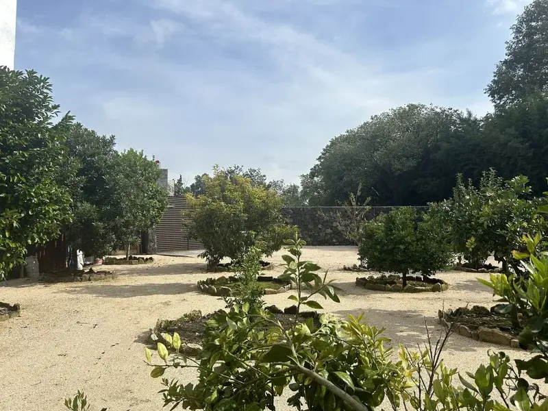 Foto 37