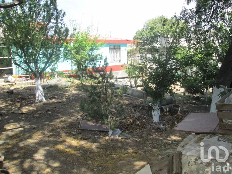 Foto 19