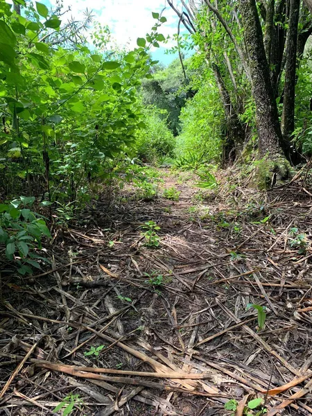 Lote en venta · Taxco de Alarcón, Guerrero