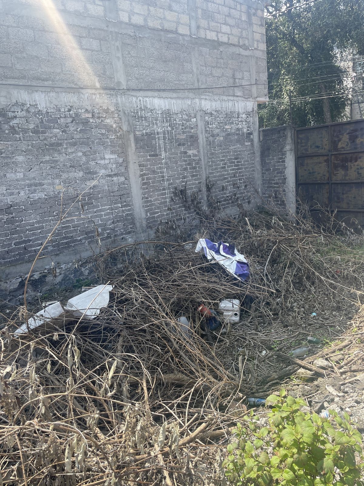 Foto 8