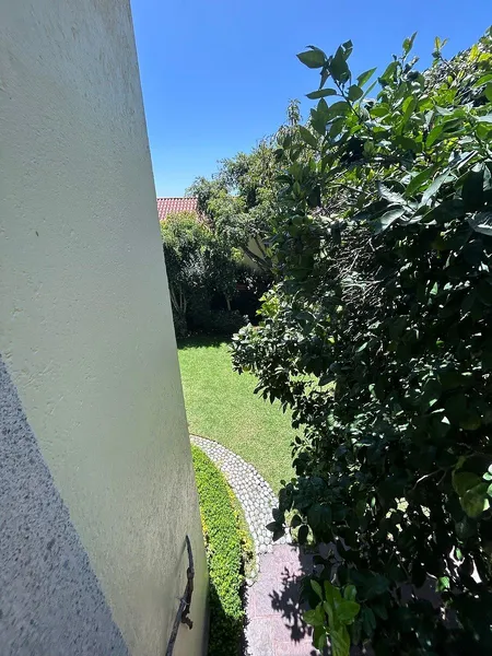 Foto 45