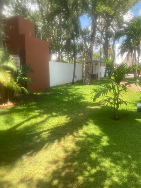 Foto 7