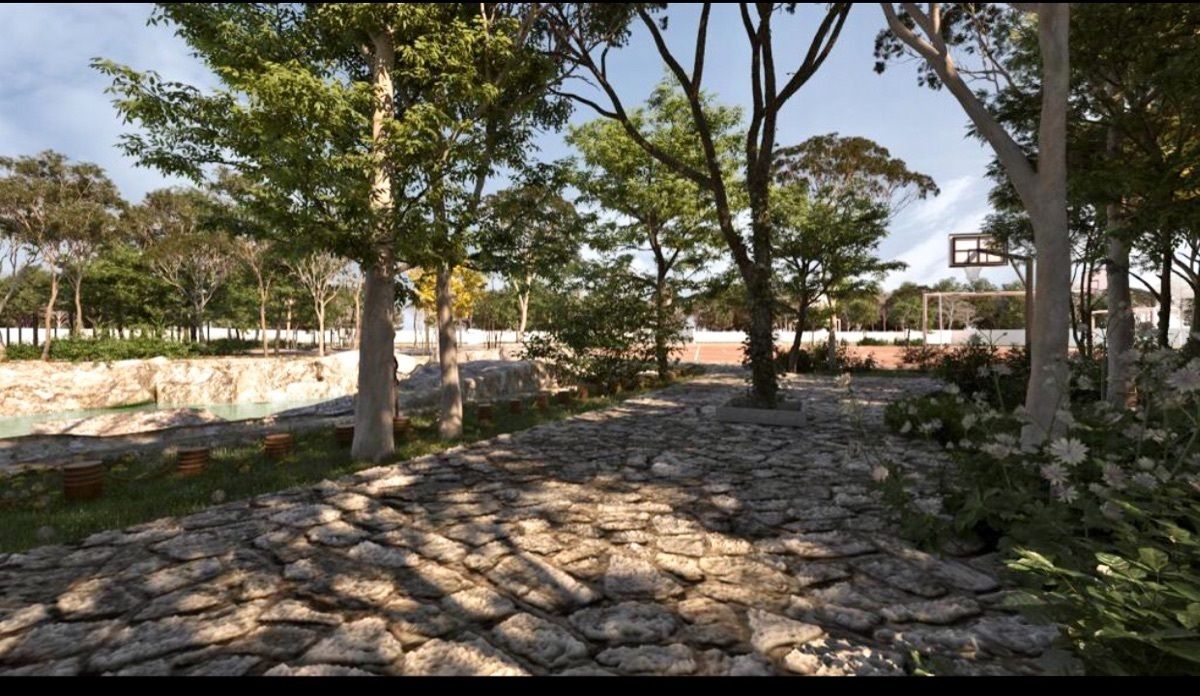 Foto 6
