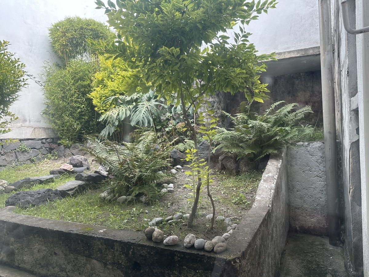 Foto 15