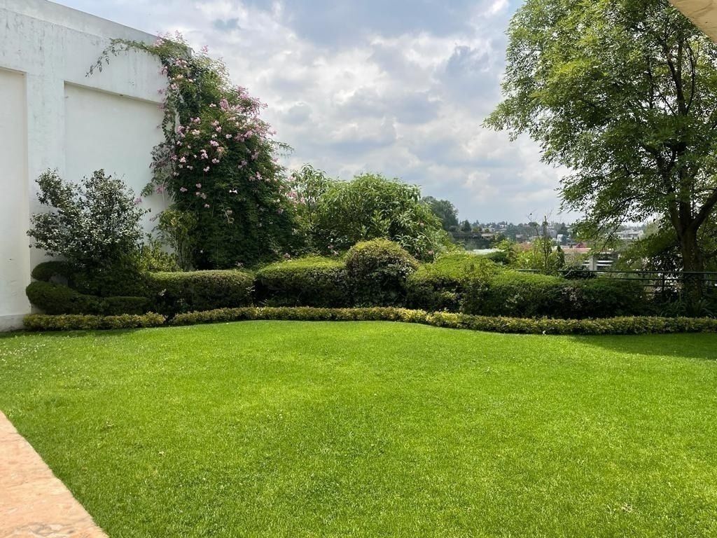 Foto 19