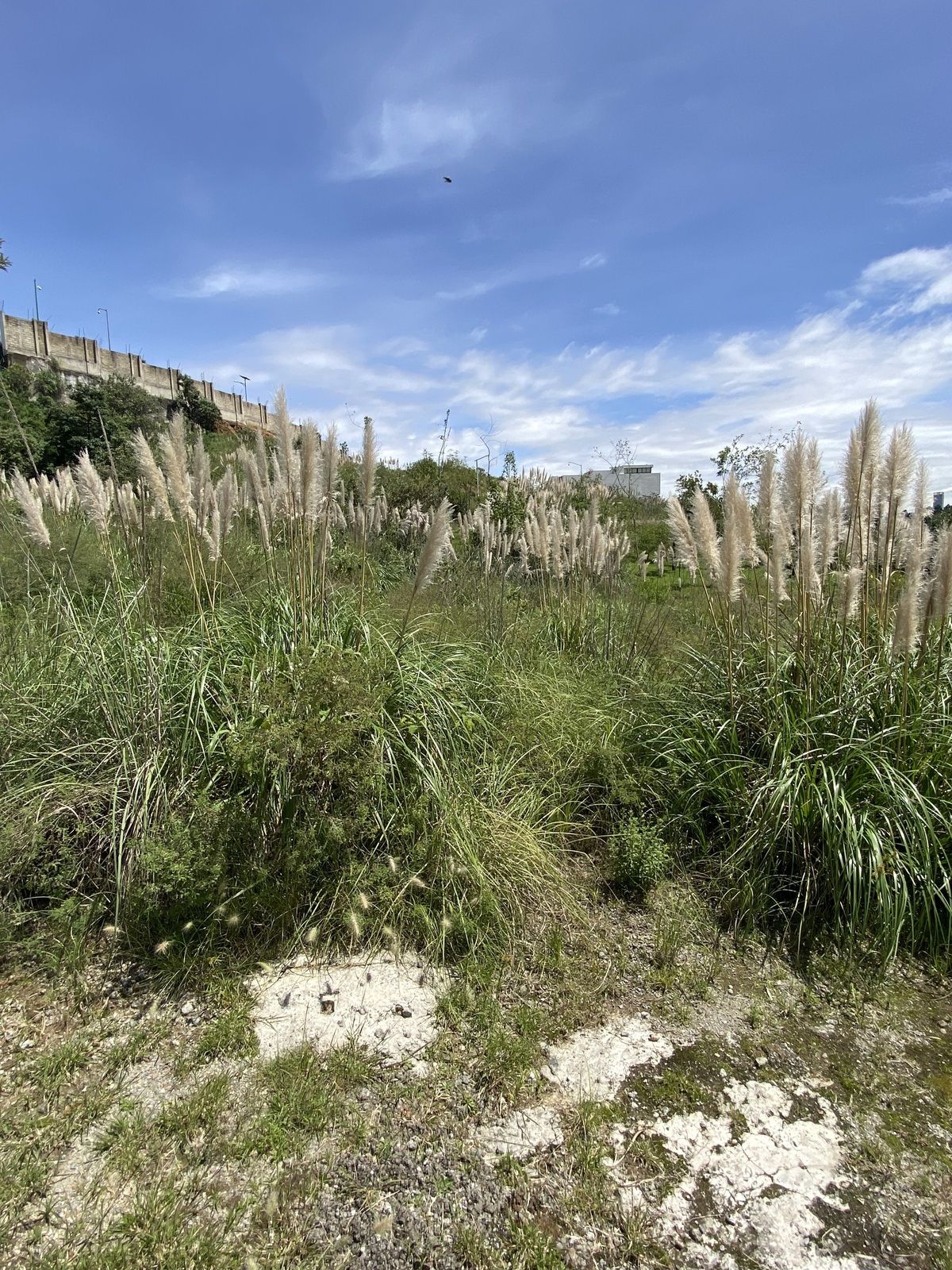 Lote en venta · Huixquilucan, Estado de México