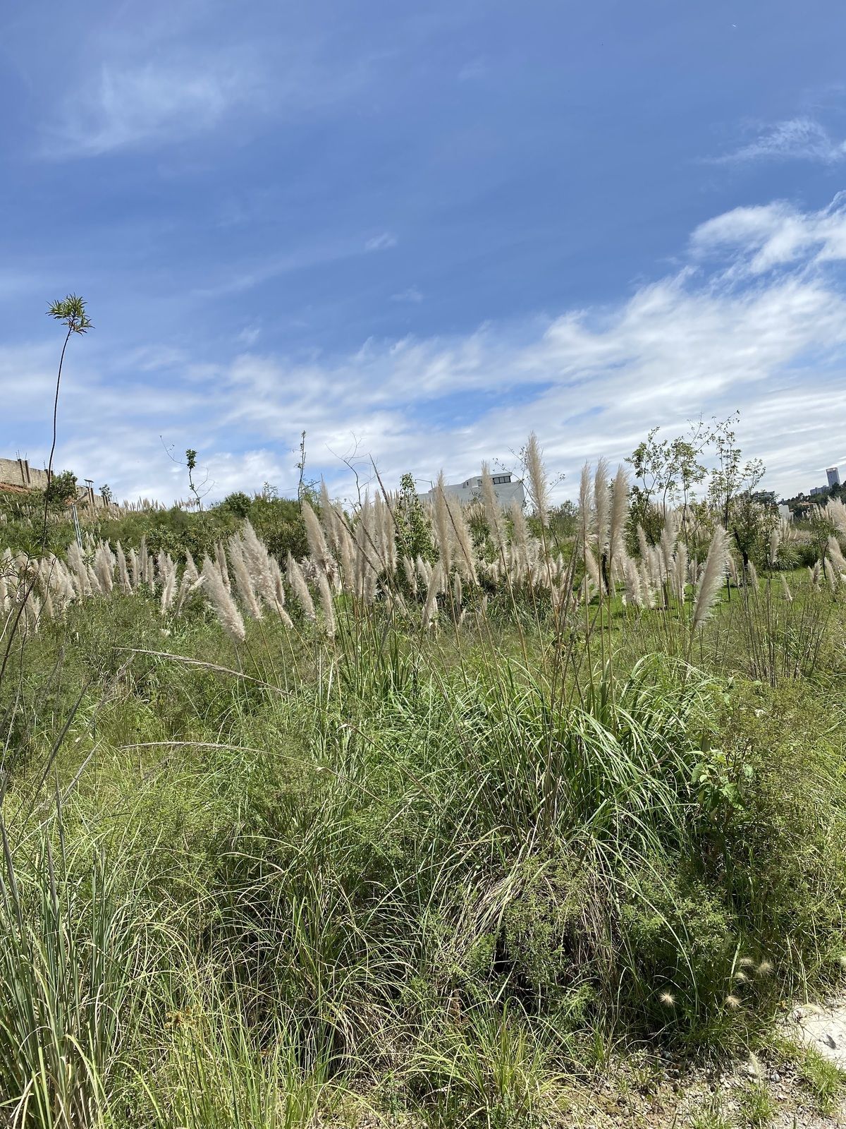 Lote en venta · Bosque Real, Huixquilucan, Estado de México