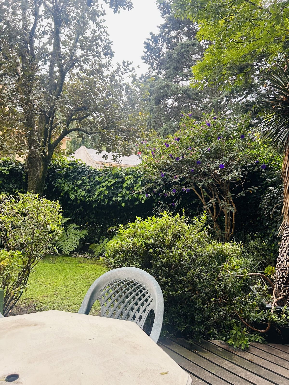 Foto 26